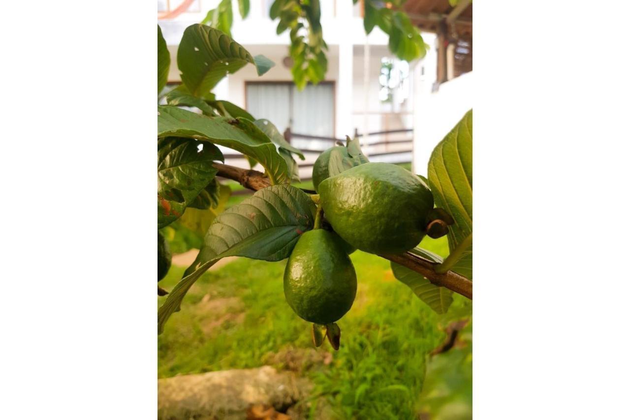 Vila Pitangueira - Apto Laranja - No Centro De Serra Grande Com Piscina, Jacuzzi, Internet Veloz Dış mekan fotoğraf